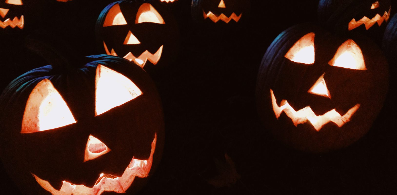 Halloween på Vitenparken