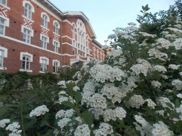 Guidet sommeromvisning på NMBU Campus Ås + buffet