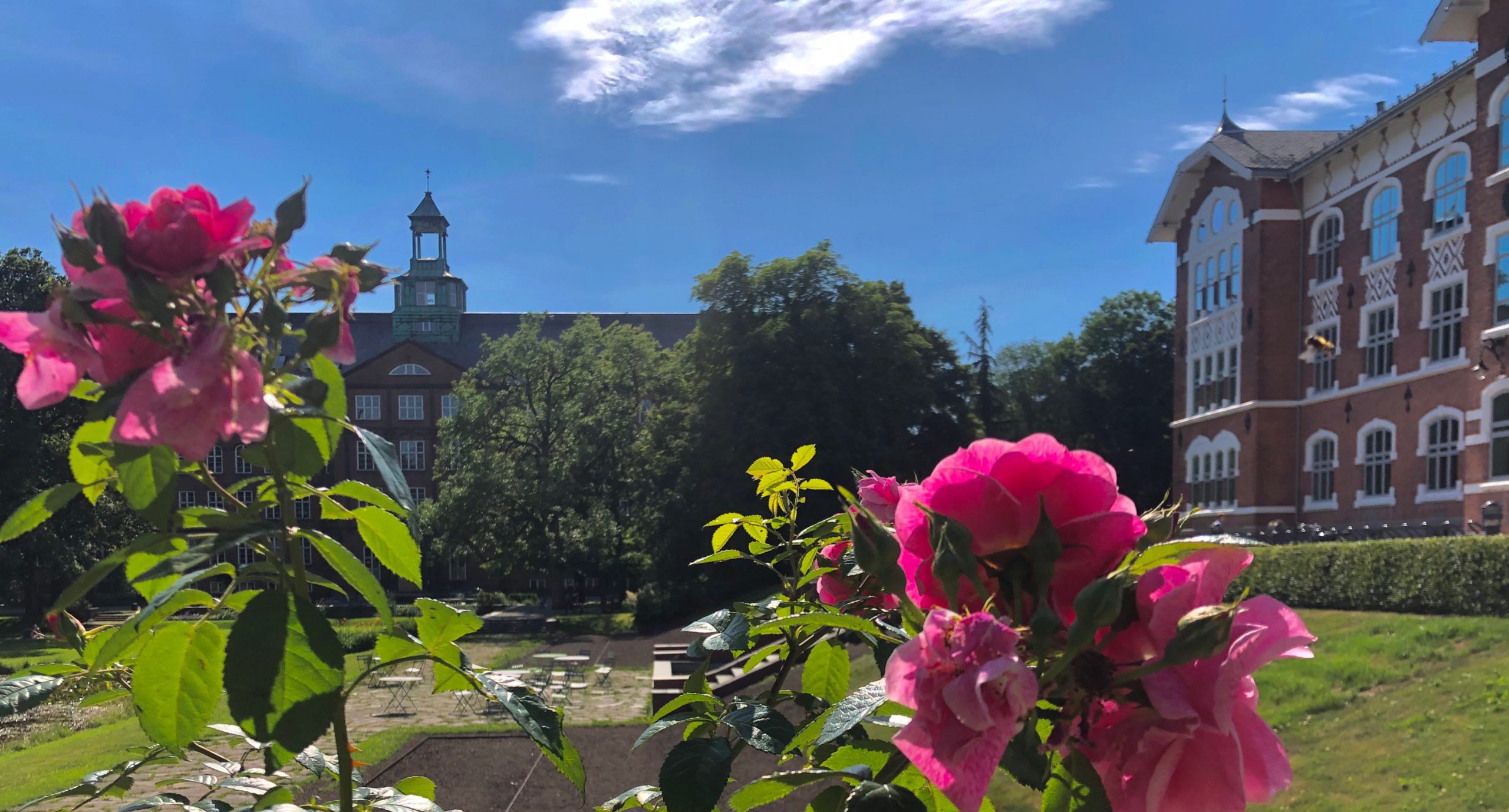 Guidet sommeromvisning på NMBU Campus Ås + buffet