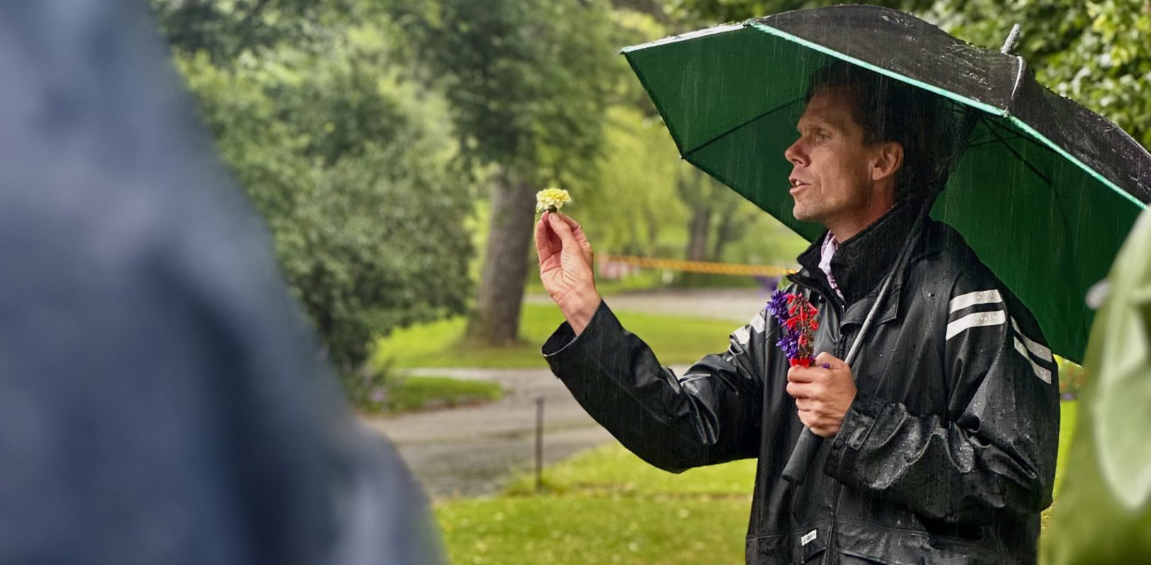 Knowledge in motion: Botanical tour of the university park with Filip Ihrsen