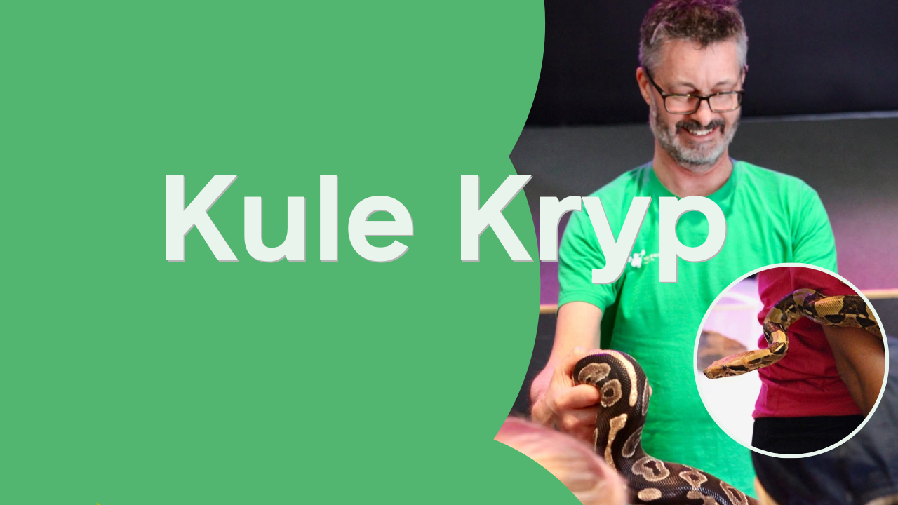 Kule Kryp