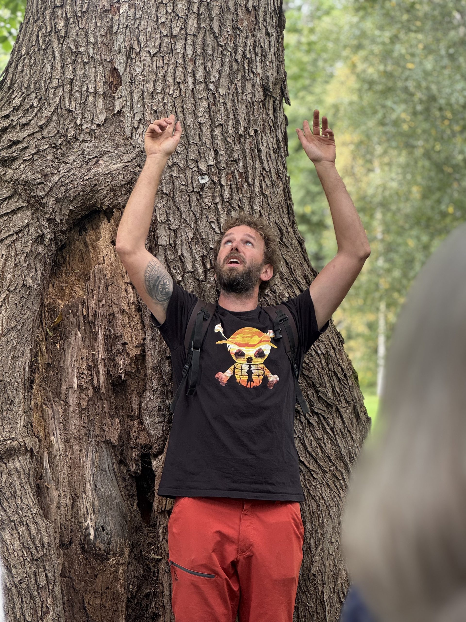 Tretur i NMBU parken med arborist Jeroen Scheepmaker